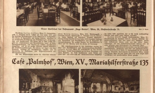 Palmhof, „Das Kaffeehaus der Musik, des Tanzes und des Lichtes“
