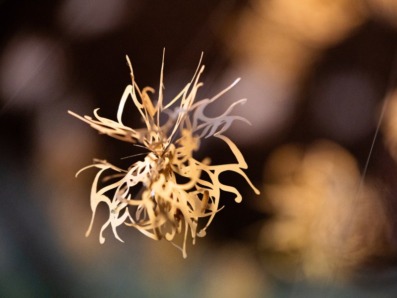 A delicate, golden sculpture with branching, leaf-like shapes hangs in space. The background is blurred.