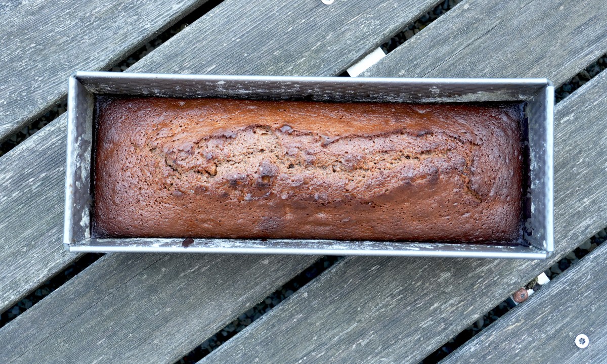 Ein frisch gebackener, länglicher Kuchen in einer rechteckigen Backform, auf einer Holzoberfläche.
