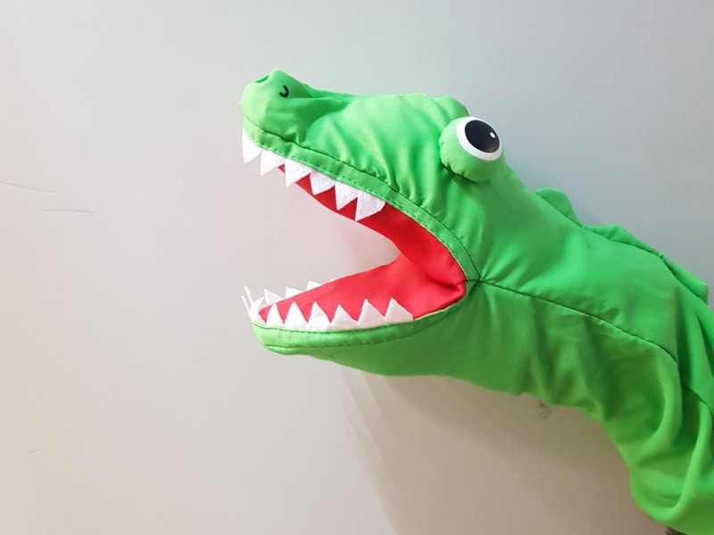 FULLY BOOKED: A crocodile in the museum