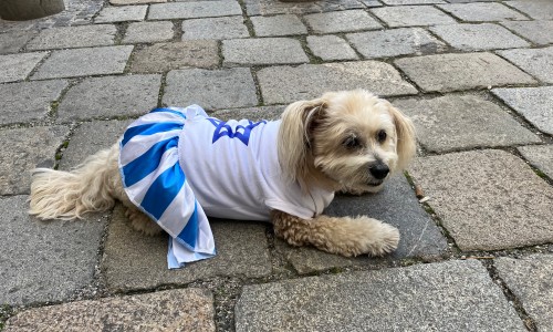 Sammelaufruf - Die Folgen des 7. Oktober späteren Generationen erklären